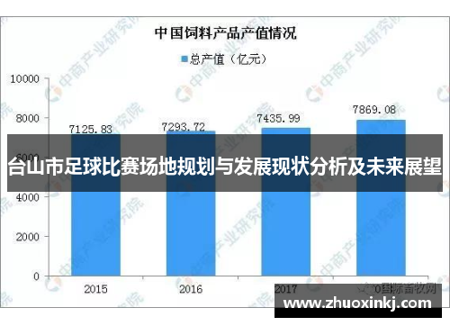 台山市足球比赛场地规划与发展现状分析及未来展望